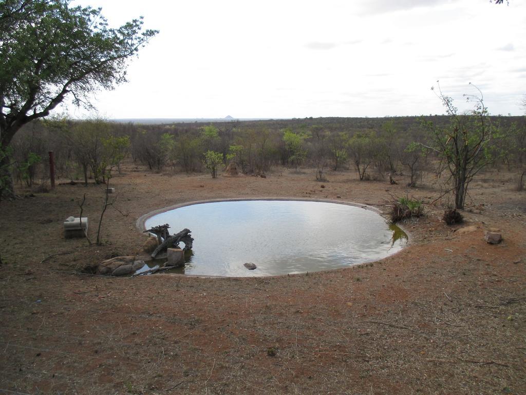 Tingala Lodge - Bed In The Bush ファラボルワ エクステリア 写真