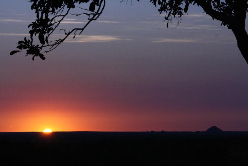Tingala Lodge - Bed In The Bush ファラボルワ エクステリア 写真