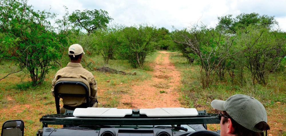 Tingala Lodge - Bed In The Bush ファラボルワ エクステリア 写真