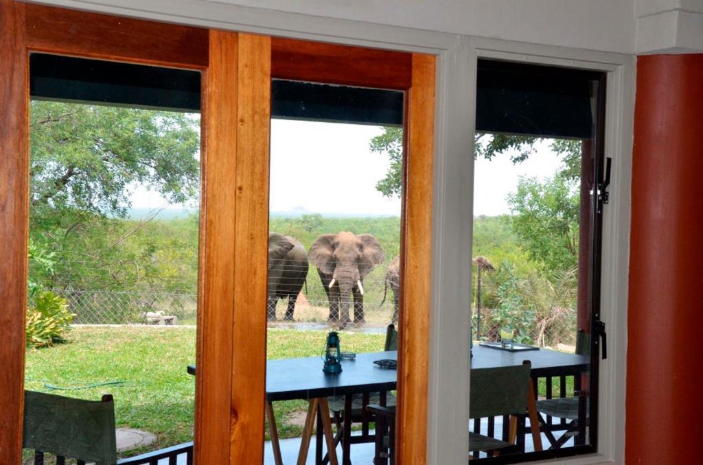 Tingala Lodge - Bed In The Bush ファラボルワ エクステリア 写真